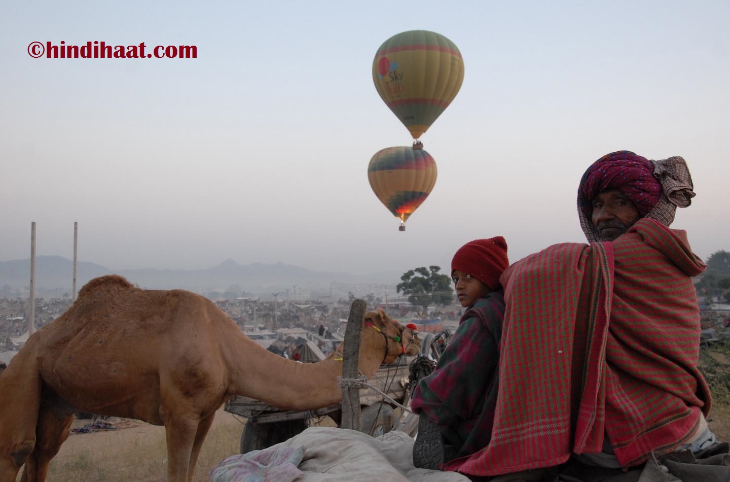 राजस्थान के पशु मेले Cattle fairs of Rajasthan - Hindihaat